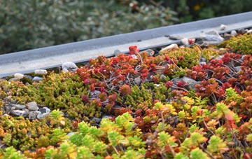 the cost of Hudswell green roof installation