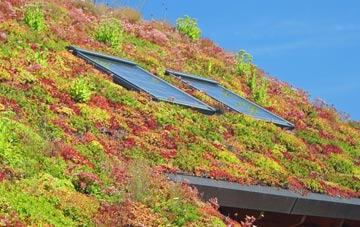 Hudswell living roof systems