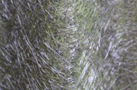 Hudswell fibreglass roof work